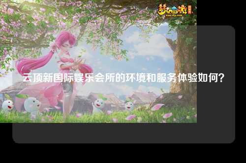 云顶新国际娱乐会所的环境和服务体验如何？