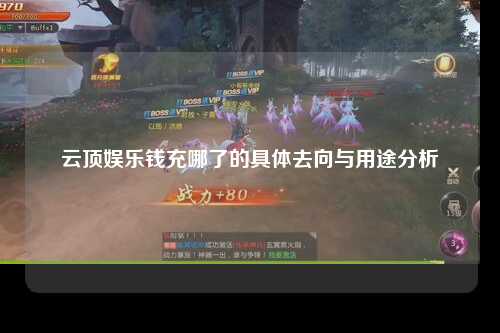 云顶娱乐钱充哪了的具体去向与用途分析